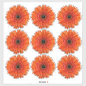 9 Oranje Gerbera-Margriet Bloem Kiss-Cut Stickers (Vel)