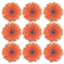 9 Oranje Gerbera-Margriet Bloem Kiss-Cut Stickers