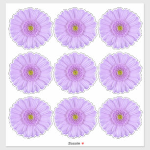 9 Paarse Gerber Daisy Flower Kiss-Cut Stickers