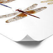 9 Poster voor libellen (Hoek)