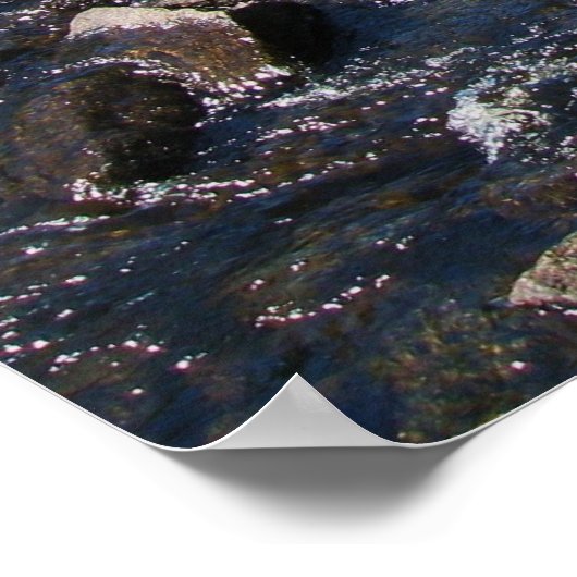 9 Rachel Miller Poster (Hoek)