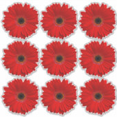 9 Rode Gerber Daisy Flower Kiss-Cut Stickers (Voorkant)