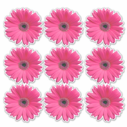 9 Roze Gerbera Tulp Bloem Kiss-Cut Stickers (Voorkant)