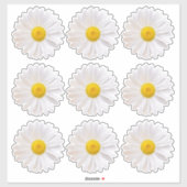 9 Shasta Daisy Flower Kiss-Cut Stickers (Vel)
