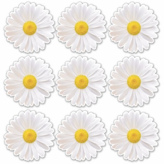 9 Shasta Daisy Flower Kiss-Cut Stickers (Voorkant)
