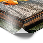 9" x 12" zwarte omzoomde Charaxes Butterfly Foto Afdruk (Hoek)