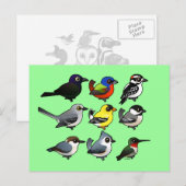 9 Zuid-Oost-Amerikaanse achtertuin Briefkaart (Voorkant / Achterkant)