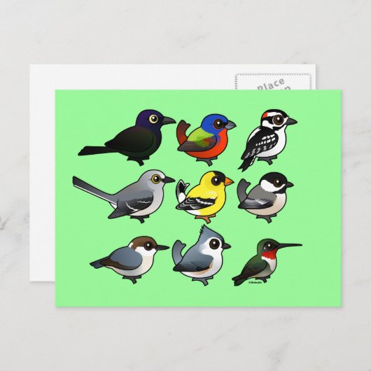 9 Zuid-Oost-Amerikaanse achtertuin Briefkaart (Voorkant / Achterkant)