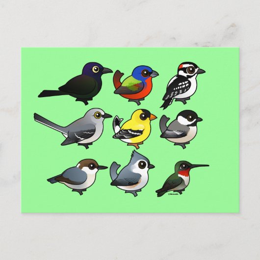 9 Zuid-Oost-Amerikaanse achtertuin Briefkaart (Voorkant)