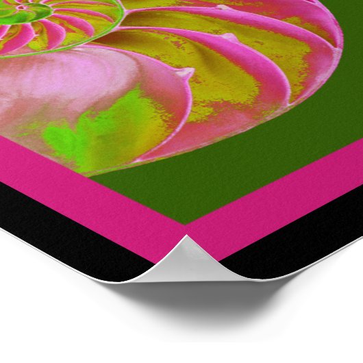 A001 Chambered Nautilus - Possibilities Quote Poster (Hoek)