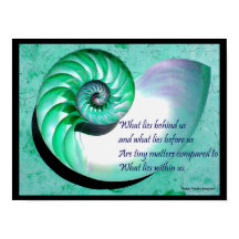 A01 Nautilus Shell-Poster met Inspirerend offerte