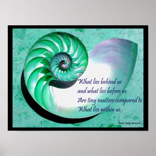 A01 Nautilus Shell-Poster met Inspirerend offerte Poster (Voorkant)