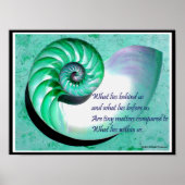 A01b Nautilus Shell Poster - Inspirerend prijsopga (Voorkant)
