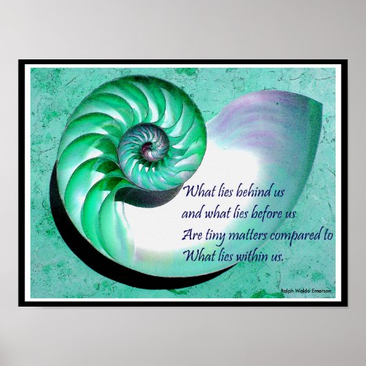 A01b Nautilus Shell Poster - Inspirerend prijsopga (Voorkant)