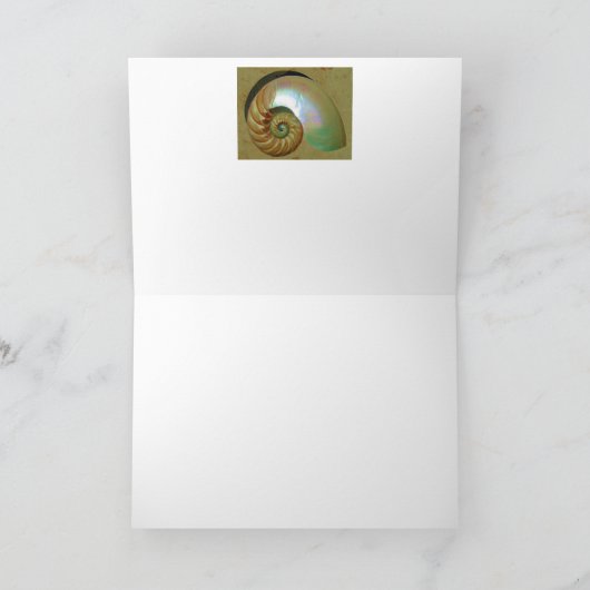 A09 Nautilus Shell - Inspirerend Kaart 2 van het (Binnen)