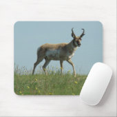 A10 Gaffelantilope en Wilde Bloemen Muismat (Met muis)