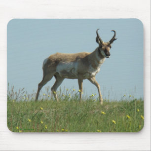 A10 Gaffelantilope en Wilde Bloemen Muismat
