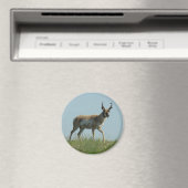 A10 Pronghorn Antelope die Threw Wildbloemen loopt Magneet (Insitu (Vaatwasser))