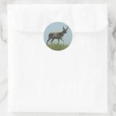 A10 Pronghorn Antelope die Threw Wildbloemen loopt Ronde Sticker (Tas)