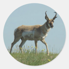 A10 Pronghorn Antelope die Threw Wildbloemen loopt Ronde Sticker