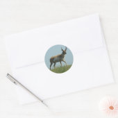 A10 Pronghorn Antelope die Threw Wildbloemen loopt Ronde Sticker (Envelop)