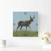 A10 Pronghorn Antelope die Threw Wildbloemen loopt Vierkante Klok (Huis)
