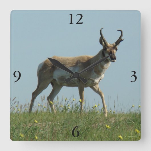 A10 Pronghorn Antelope die Threw Wildbloemen loopt Vierkante Klok (Voorkant)