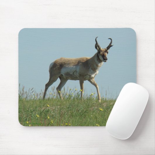 A10 Pronghorn Antelope en wilde bloemen Muismat (Met muis)