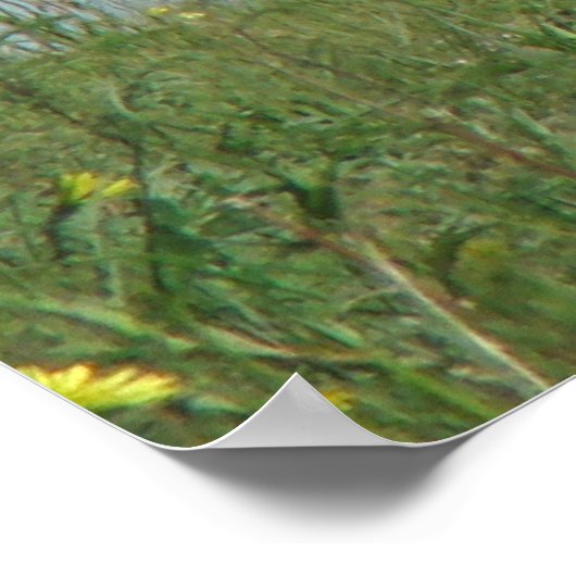 A10 Pronghorn Antelope en wilde bloemen Poster (Hoek)