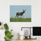A10 Pronghorn Antelope en wilde bloemen Poster (Thuiskantoor)