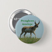 A10 Pronghorn Antelope Ronde Button 5,7 Cm (Voorkant /achterkant)