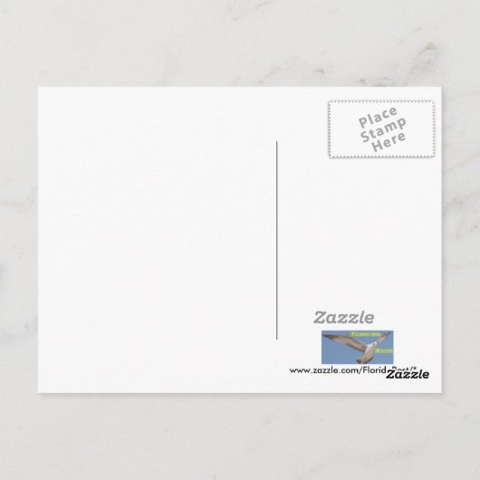 A11 Flamingo Postcard Briefkaart (Achterkant)