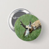 A11 Gaffelantilope Ronde Button 5,7 Cm (Voorkant /achterkant)