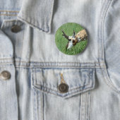 A11 Gaffelantilope Ronde Button 5,7 Cm (In situ)
