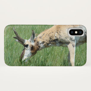 A11 Gaffelbok Grazend Case-Mate iPhone Case