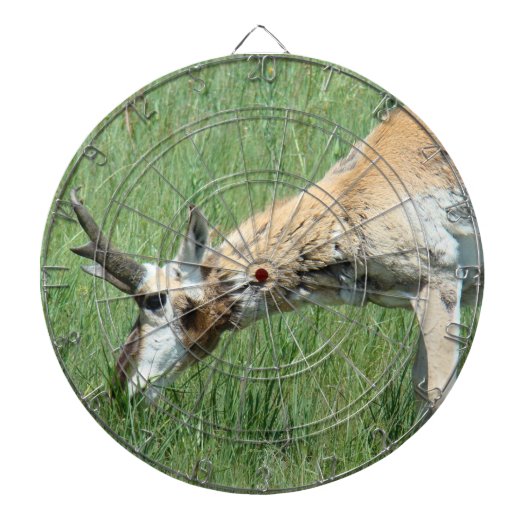 A11 Pronghorn Antelope Buck Grazing Dartbord (Voorkant)