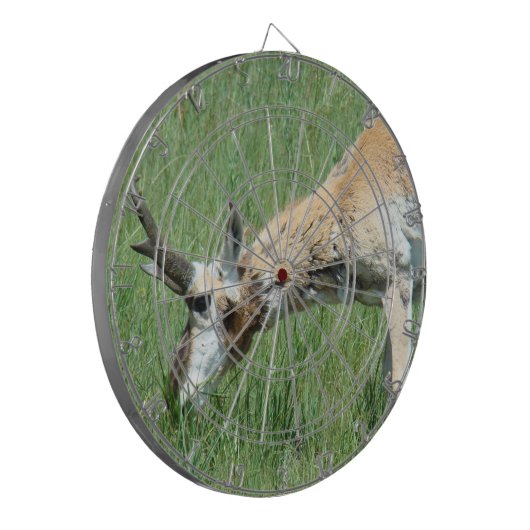 A11 Pronghorn Antelope Buck Grazing Dartbord (Voorkant Links)