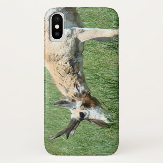 A11 Pronghorn Antelope Grazing Case-Mate iPhone Case (Achterkant)
