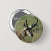 A12 Gaffelantilope Ronde Button 5,7 Cm (Voorkant /achterkant)