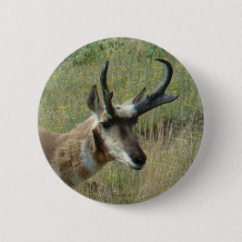 A12 Gaffelantilope Ronde Button 5,7 Cm