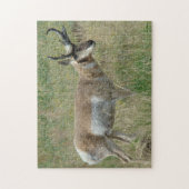 A12 Gaffelbok hertengewei Legpuzzel (Verticaal)