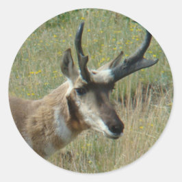 A12 Gaffelbok hertengewei Ronde Sticker