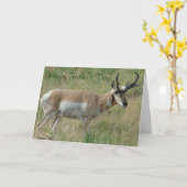 A12 Pronghorn Antelope Buck Kaart (Gele Bloem)