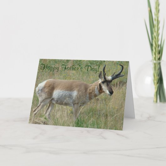 A12 Pronghorn Antelope Buck Kaart (Voorkant)