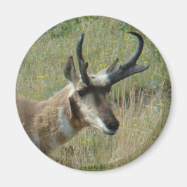 A12 Pronghorn Antelope Head Shot Magneet
