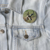 A12 Pronghorn Antelope Ronde Button 5,7 Cm (In situ)
