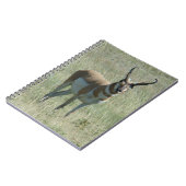 A13 Gaffelantilope mannetje Notitieboek (Linkerzijde)