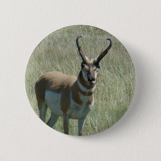 A13 Gaffelantilope Ronde Button 5,7 Cm (Voorkant)