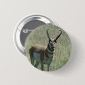 A13 Gaffelantilope Ronde Button 5,7 Cm (Voorkant /achterkant)