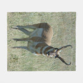 A13 Gaffelbok-antilope mannetje Fleece Deken (Voorkant (Horizontaal))